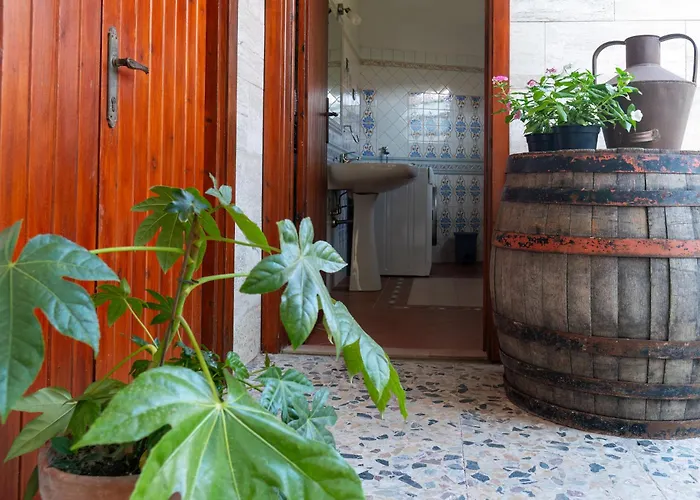 Pala Cerbu Gasthof Mogoro