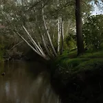 Pala Cerbu