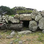 Pala Cerbu