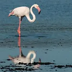 Ubytování v soukromí Pala Cerbu Mogoro