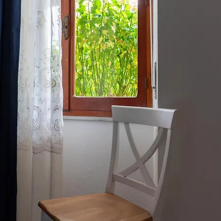 Pala Cerbu Mogoro