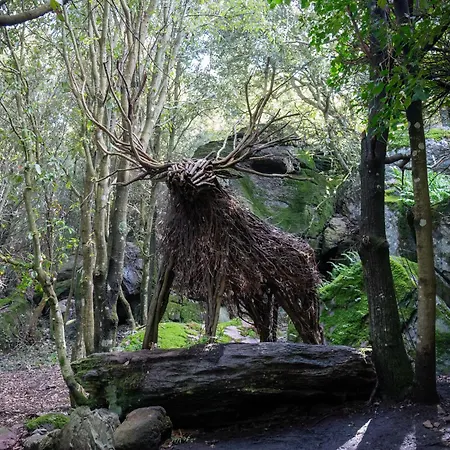 Pala Cerbu Affittacamere Mogoro