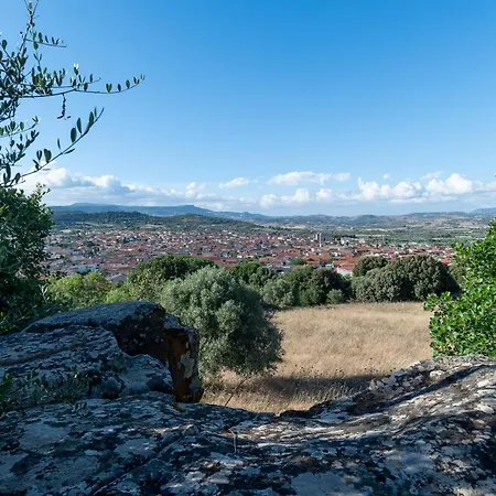 Δωμάτια σε οικογενειακή κατοικία Pala Cerbu *