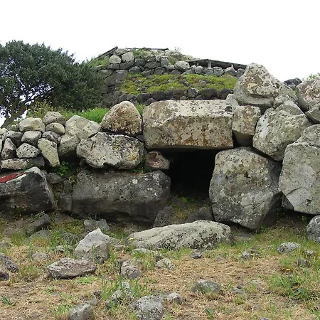 Pala Cerbu