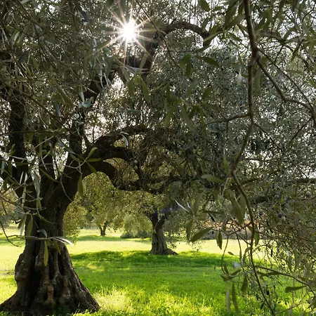 Δωμάτια σε οικογενειακή κατοικία Pala Cerbu Mogoro