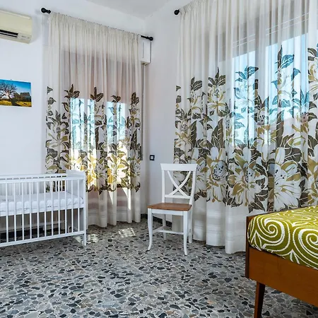 Pala Cerbu Homestay